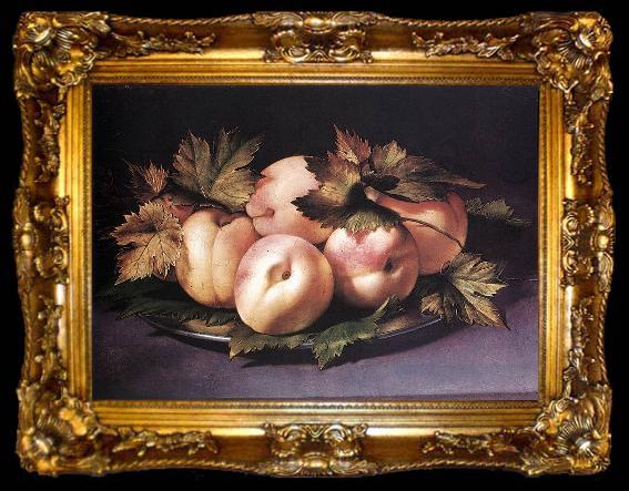 framed  FIGINO, Giovanni Ambrogio Metal Plate with Peaches and Vine Leaves, ta009-2